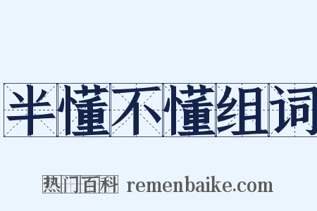 半懂不懂组词是什么意思的图片